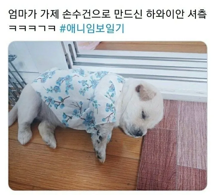 운전하는데 강아지가 인사해 줌 (15/20)