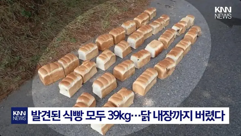 일본에서 난리난 기습 곰맘 시위 (4/7)