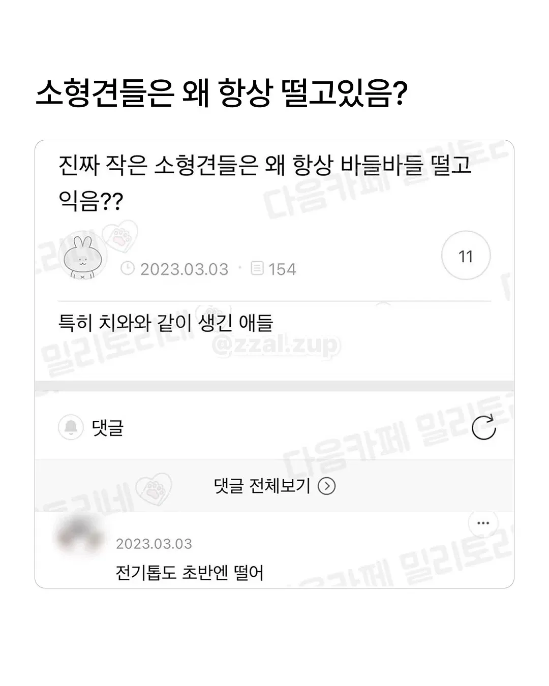 남동생 아내를 뭐라고 부르더라 생각이 안나네 (10/20)