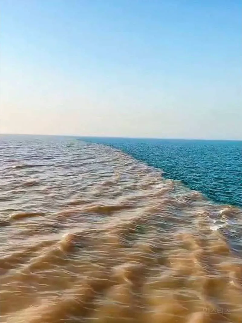 섞이지 않는 황하강과 바다.gif (2/6)