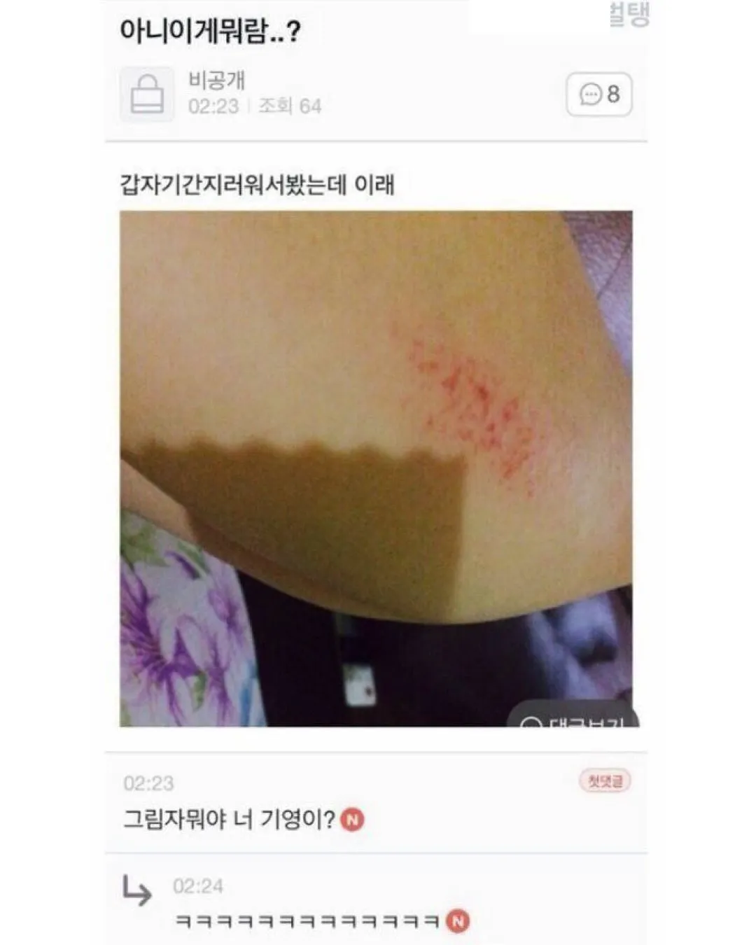 나 지금 공부해야하는데 도서관에서 이거 꺼내면 민폐지? (8/15)