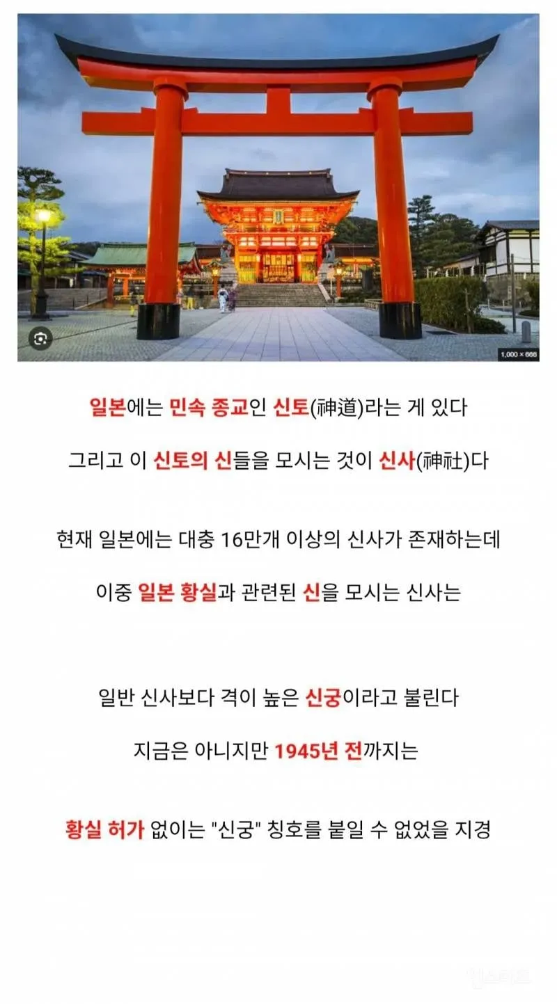 K-역사상 최고의 티배깅.jpg (2/20)