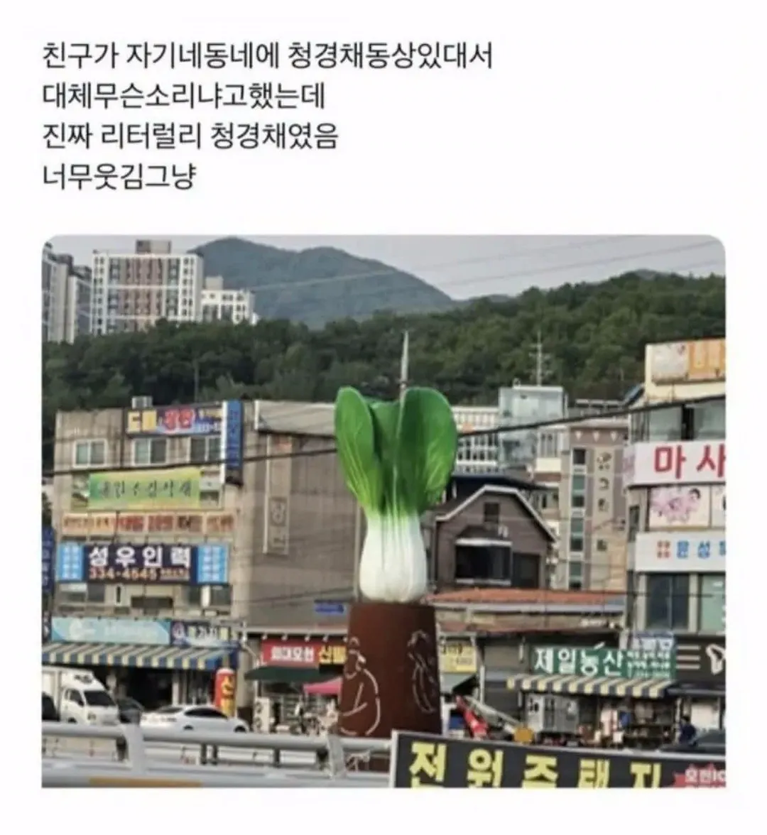 한국에 실존하는 청경채 동상 (2/2)