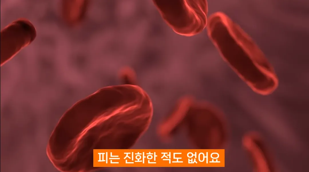 진화론을 믿지 않는 박진영 (6/14)