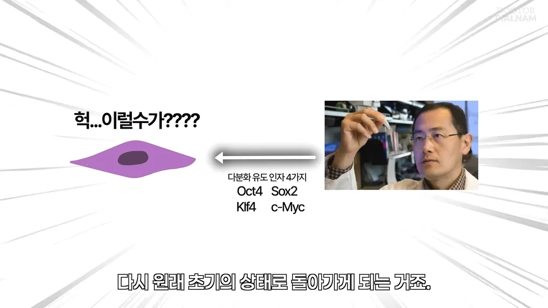 53세 피부를 23세 피부로 돌리는데 성공함 - 英연구팀 (12/14)